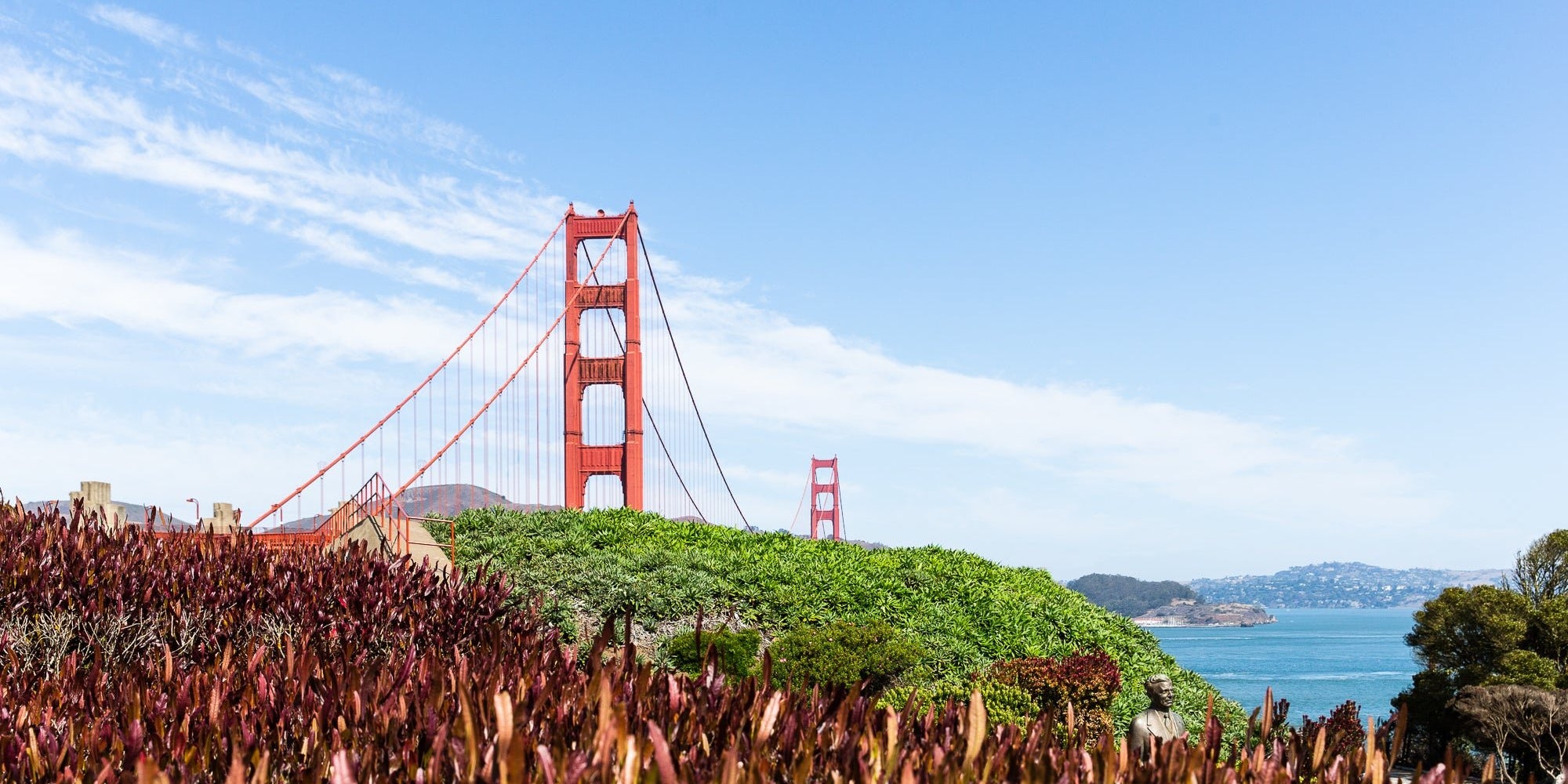 Equator Coffees' Presidio Field Guide - Equator Coffees