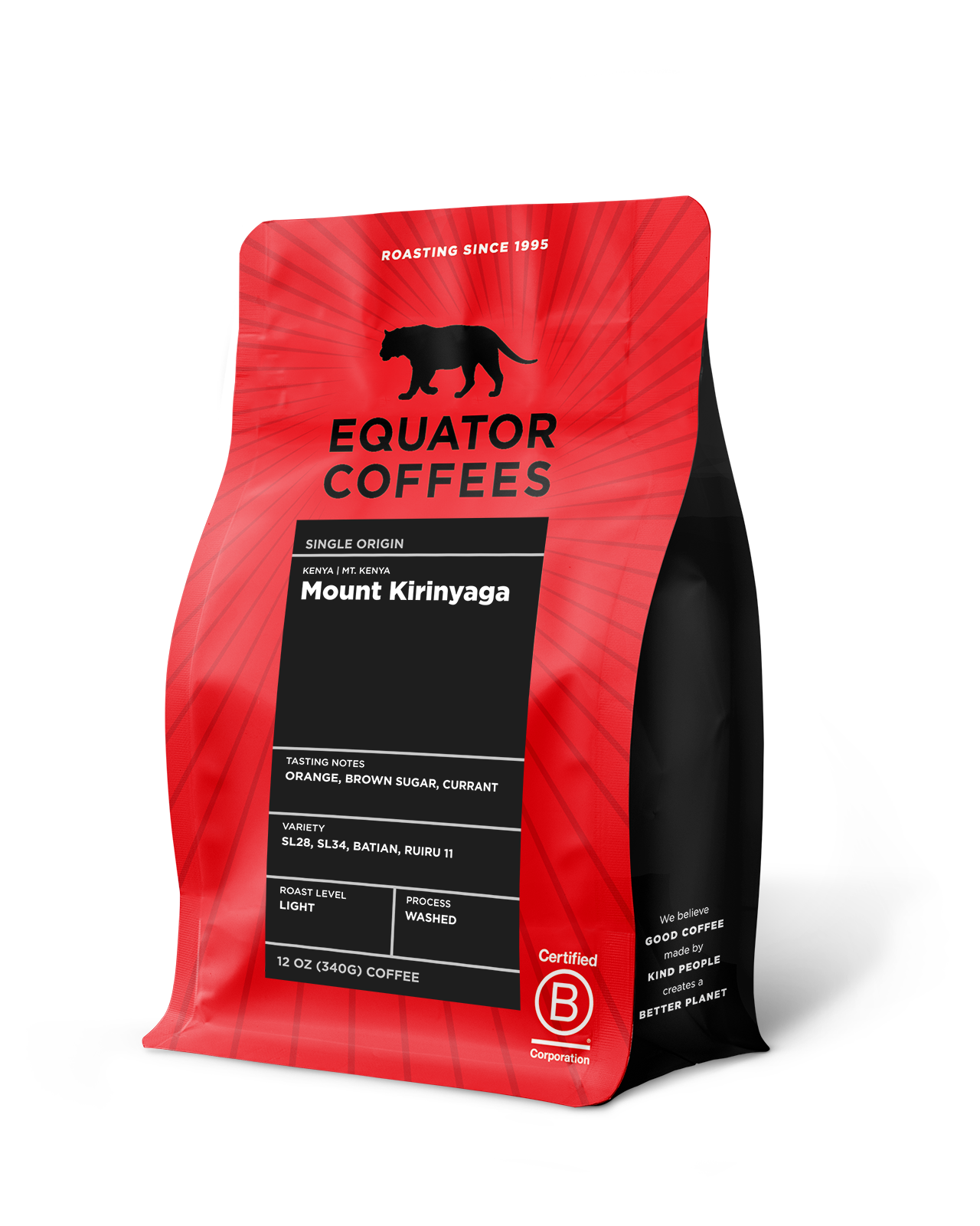 Kenya Mount Kirinyaga | 12oz whole bean coffee | Equator Coffees