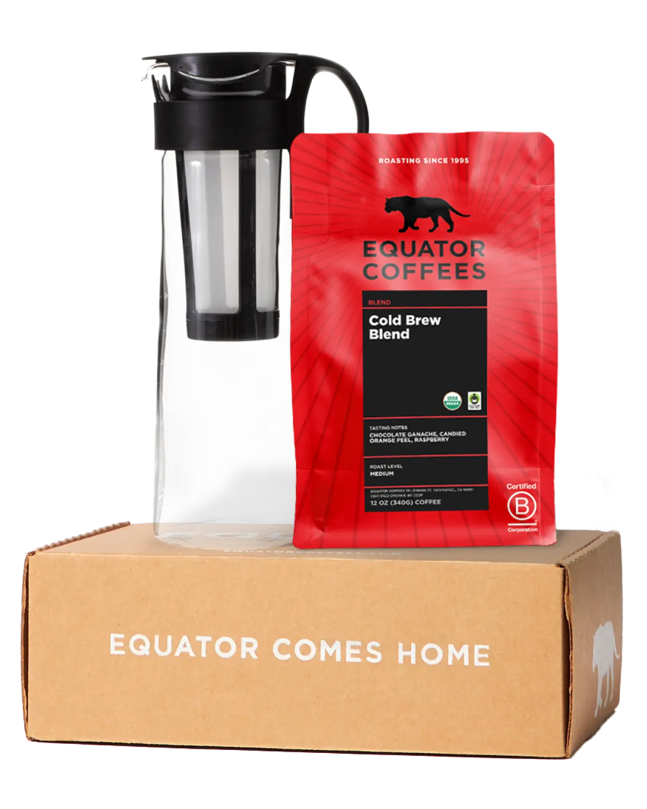 Cold Brew Starter Kit | 12oz Bag of Coarse Ground Coffee with Hario Mizudashi | Equator Coffees
