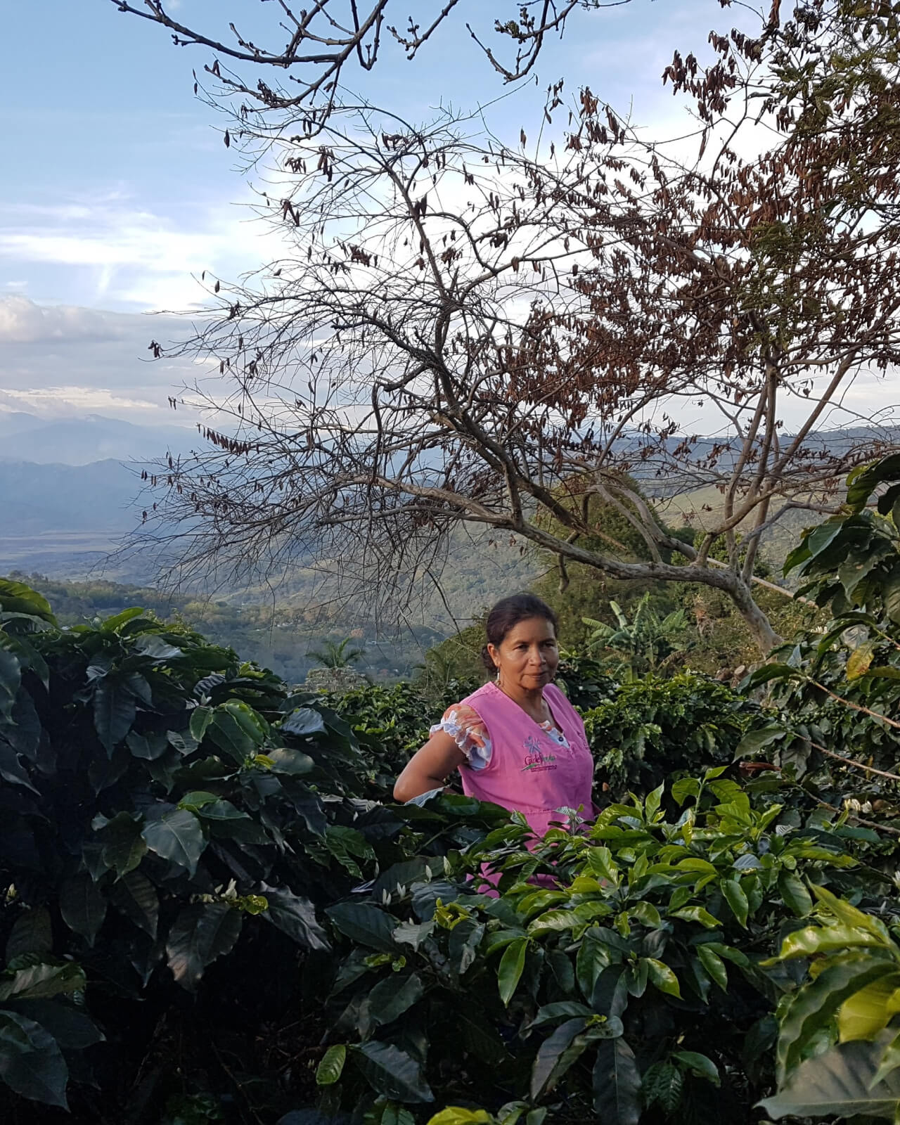 Colombia Las Rosas | Colombian Coffee | Walking the farm with Las Rosas Women's Group | Equator Coffees