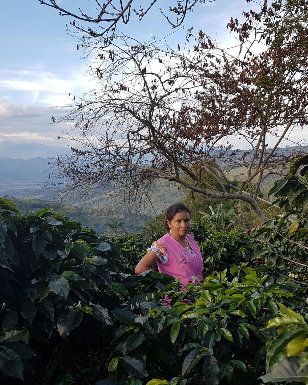 Las Rosas Women’s Group