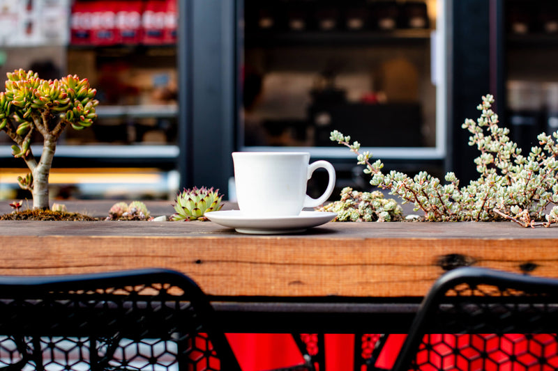 Enjoying a coffee at the equator Coffees Lake Merritt Oakland Cafe | Equator Coffees