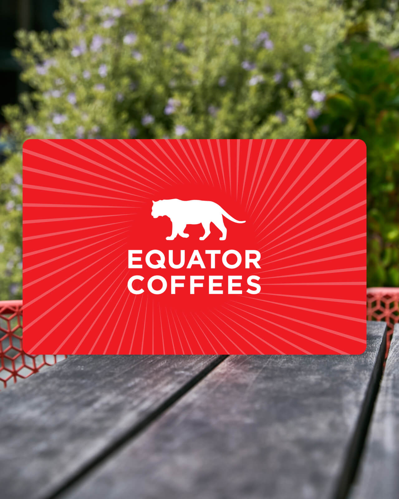 Equator Cafe Gift Card for Marin cafes with outdoor seating | Equator Coffees