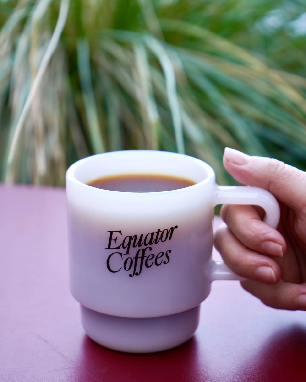 Preparing to sip freshly roasted coffee at a Marin cafe with the Equator Retro Milk Glass | Equator Coffees