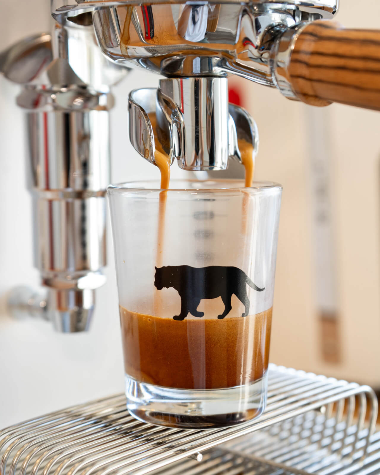 Brewing espresso with the Equator Tiger Espresso Shot Glass | Equator Coffees
