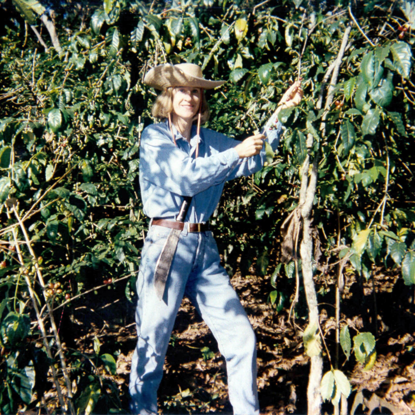 Our 1997 Timeline update: First trip to origin | Our Story | Equator Coffees