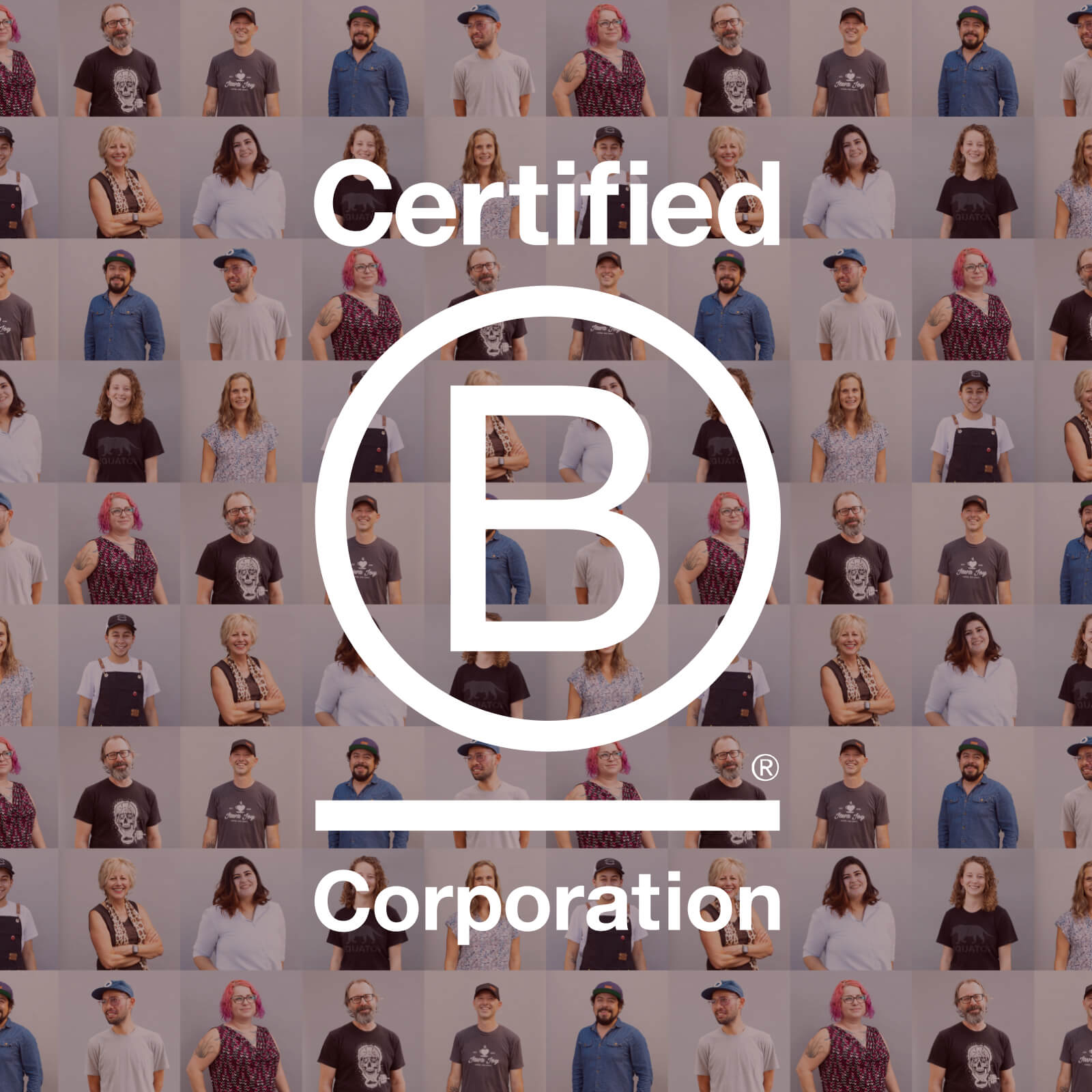 Our 2011 Timeline update: B Corp Certified | Our Story | Equator Coffees