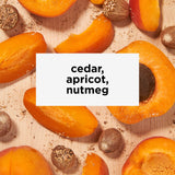Equator Blend Instant Coffee Packets | Specialty Instant Coffee Packets | Tastes like cedar, apricot, nutmeg | Equator Coffees