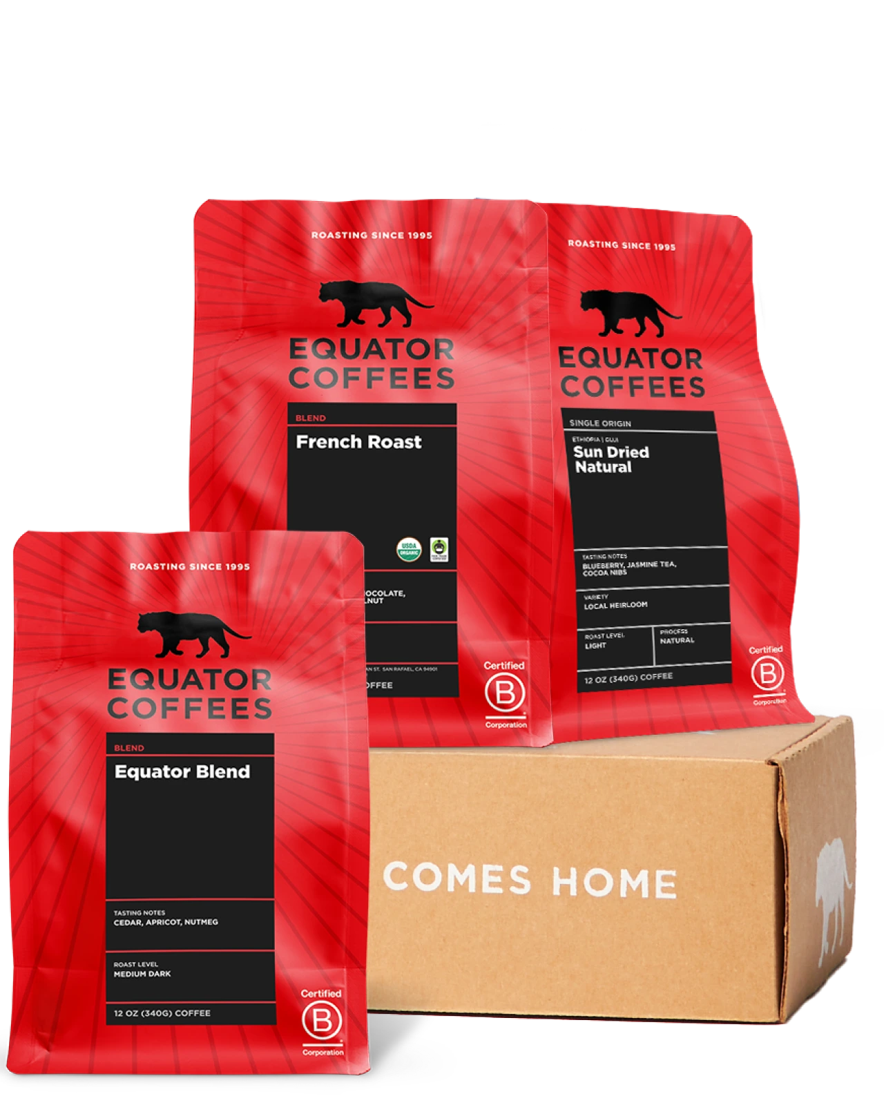 Essential Equator Coffee Set | Three 12oz Bags of Whole Bean Coffee | Equator Coffees