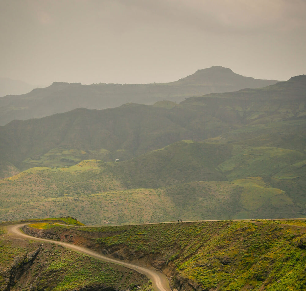 Smallholder Farmers from Hambela District, Guji, Ethiopia