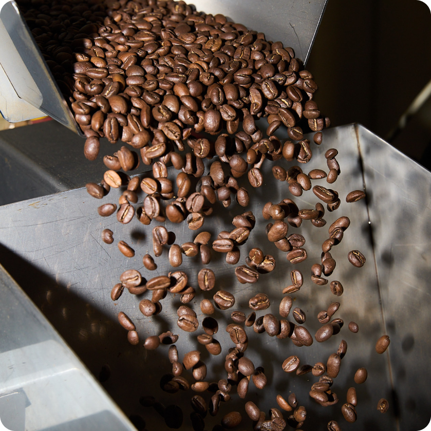 Coffee beans in a coffee roaster | Equator Coffees