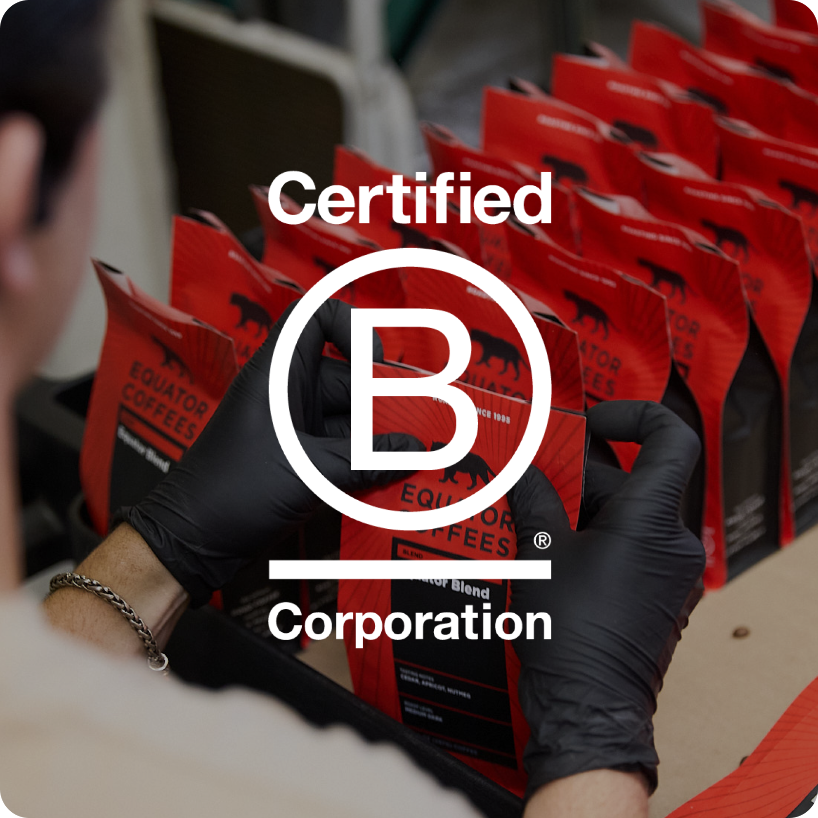 Certified B Corporation | Equator Coffees