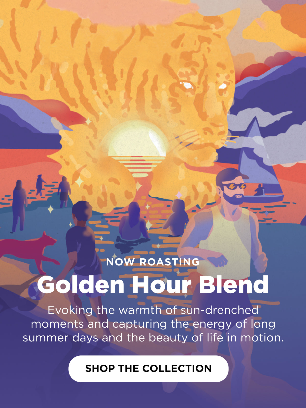 Now Roasting: Golden Hour Blend | Mobile Banner | Equator Coffees