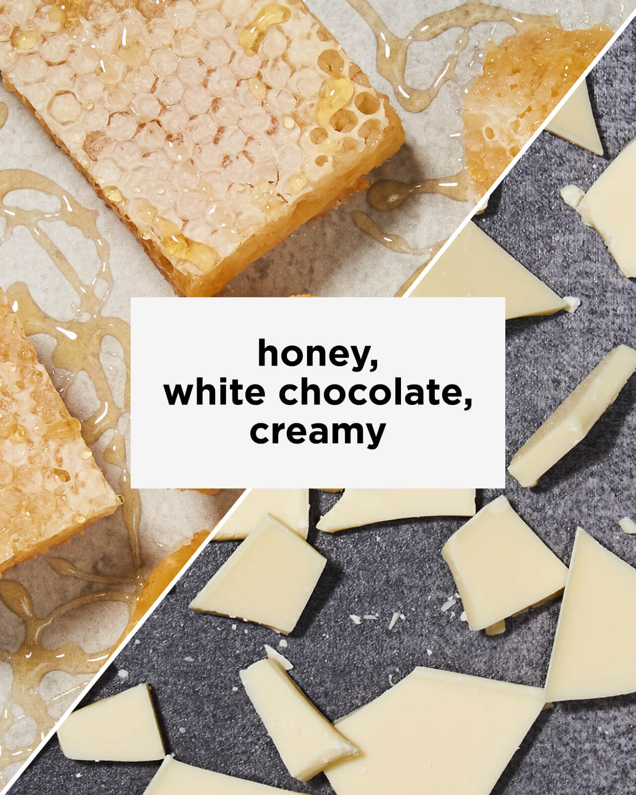 Hint of Milk & Sugar Organic Cold Brew | Tastes like creamy white chocolate and honey | Equator Coffees