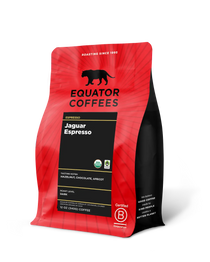 Jaguar Espresso | Award-Winning Espresso | Certified Organic Espresso | 12oz Bag of Whole Espresso Beans | Equator Coffees