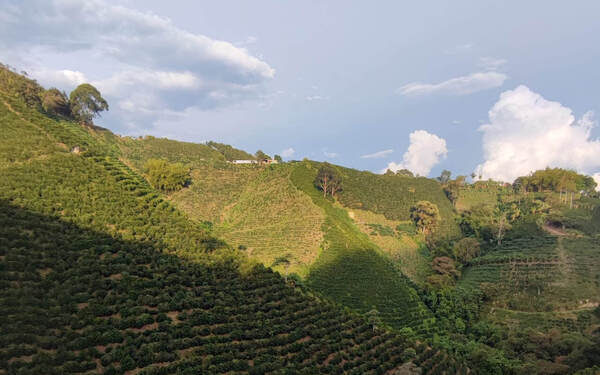 Jhoan Vergara, Huila, Colombia