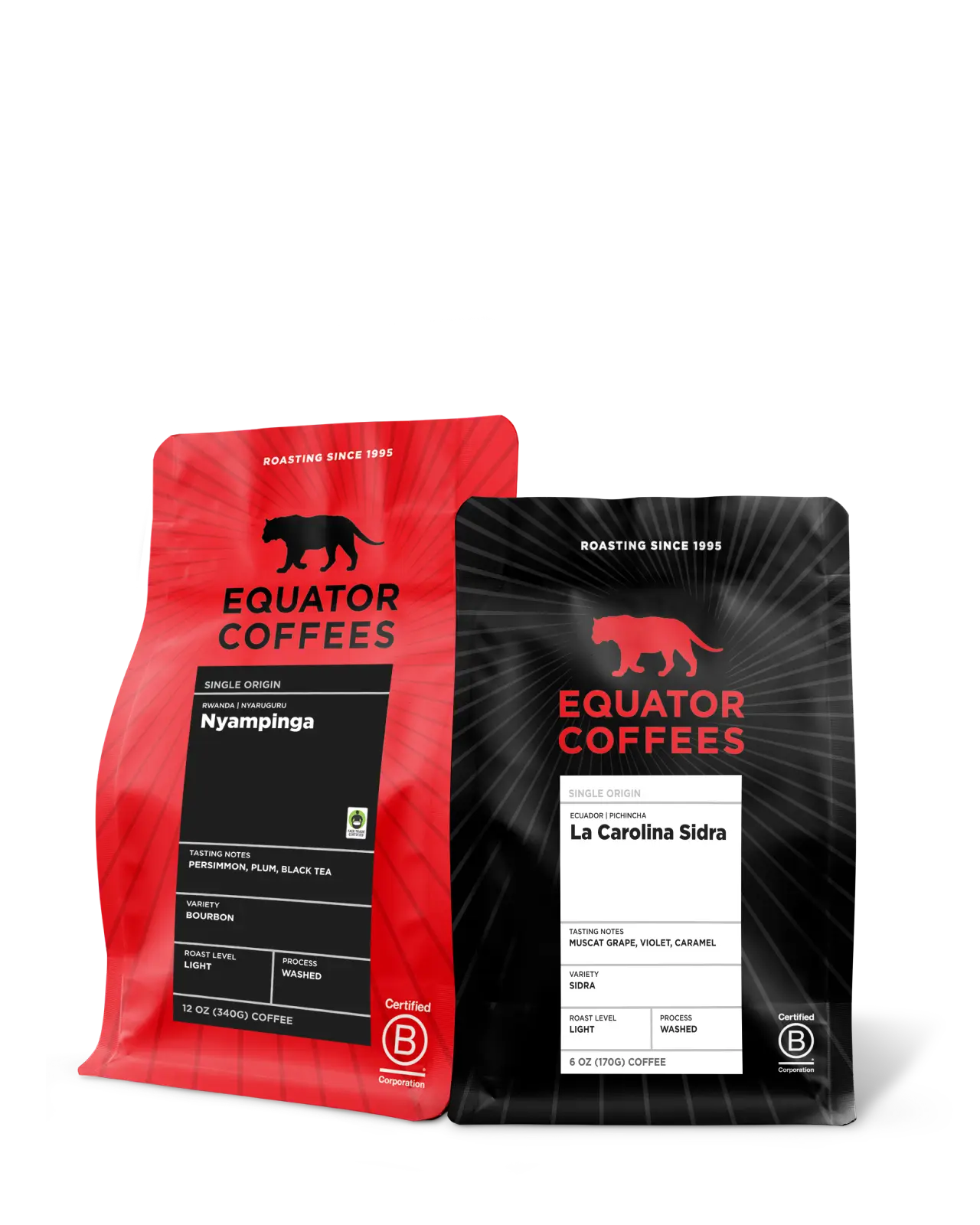 Light Roast Rarities Set | Two coffees from Rwanda & Ecuador | Equator Coffees
