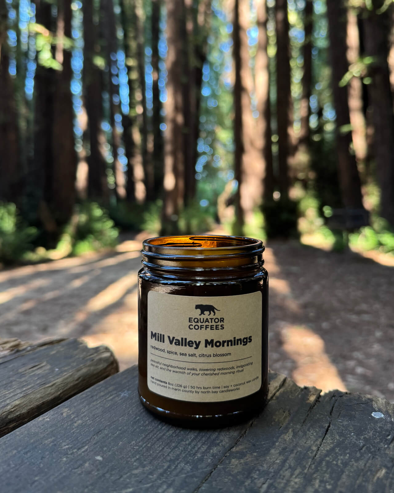 The Mill Valley Mornings candle makes an appearance at a shady campsite under the redwood trees in Marin | Equator Coffees