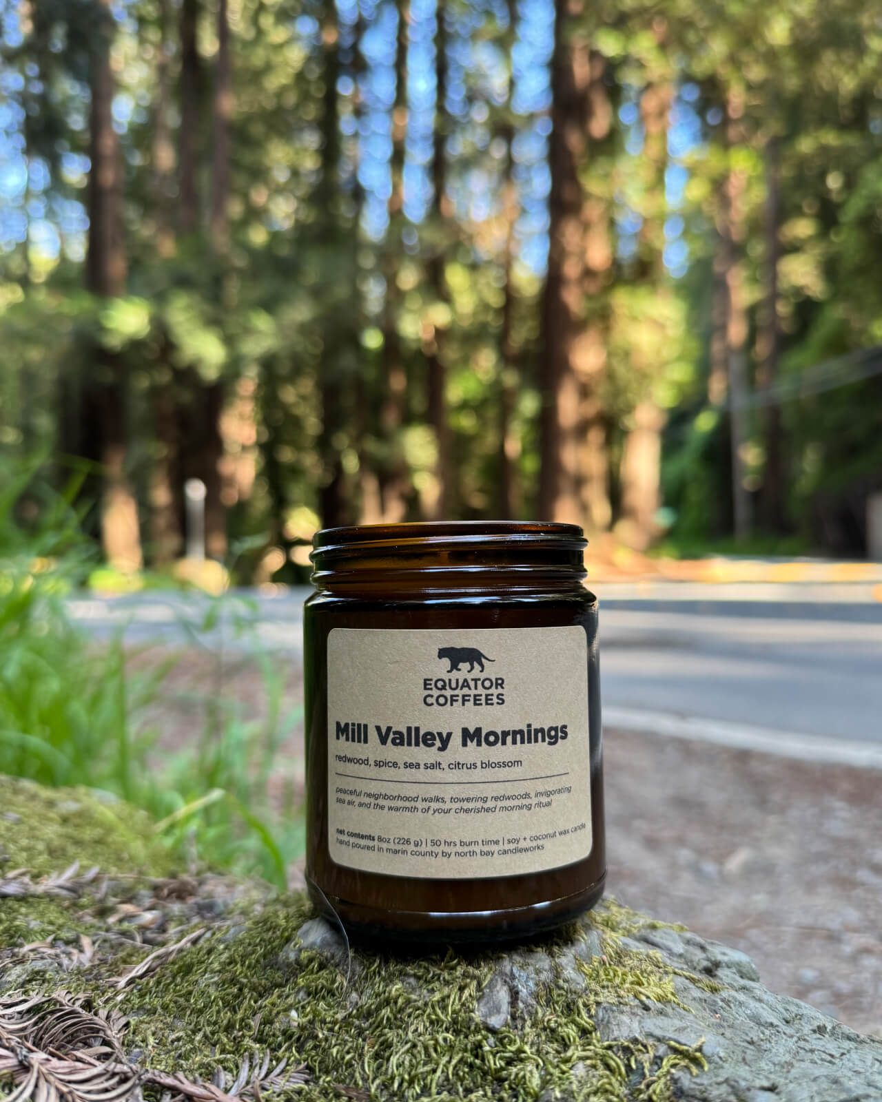 The Mill Valley Mornings candle makes a roadside appearance on the way to Mount Tamalpais for a day of hiking and sweeping coastal views | Equator Coffees