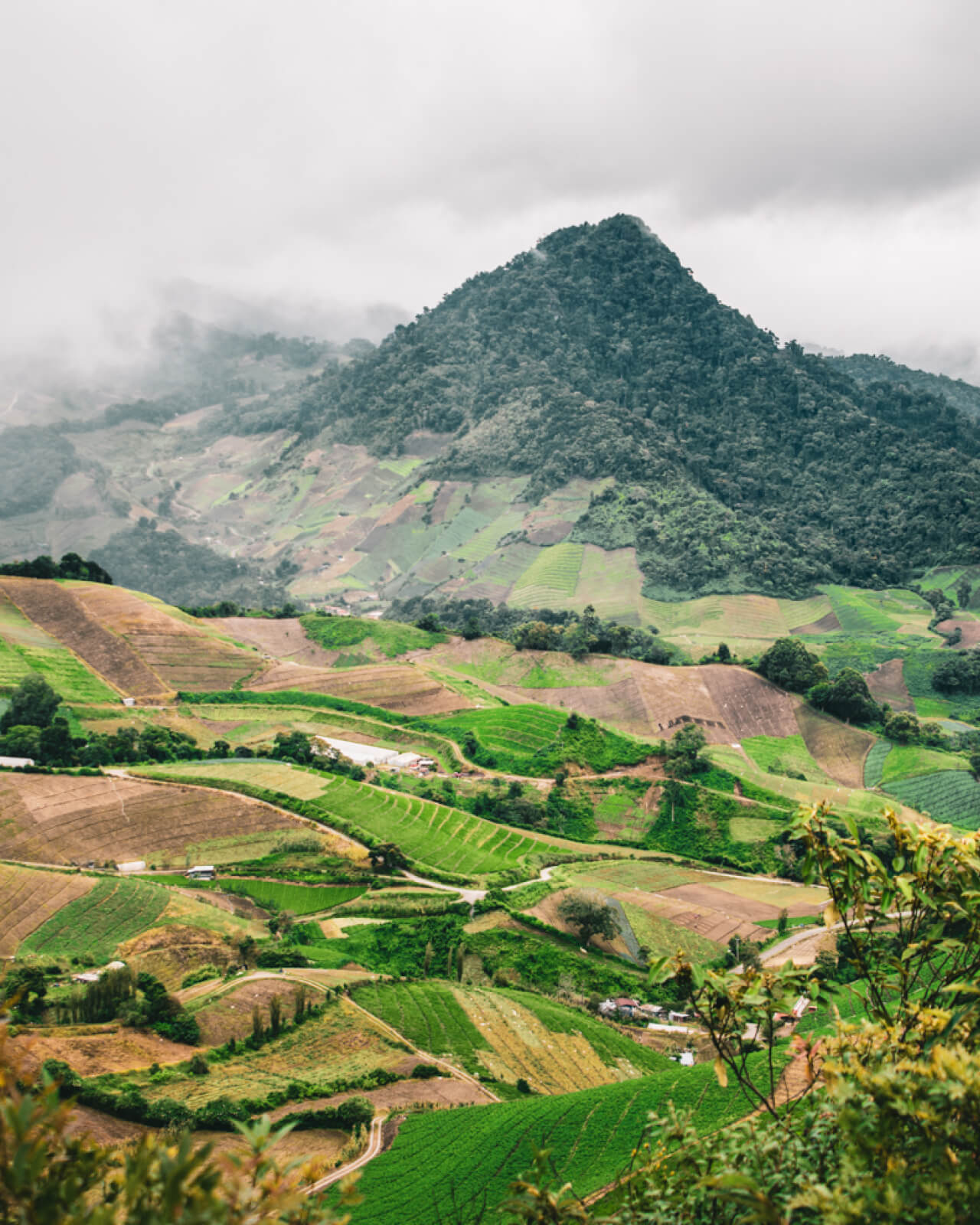 The view from Finca Sophia | Equator Coffees