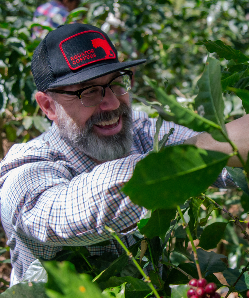 Coffee Director Ted harvesting coffee | Equator Coffees
