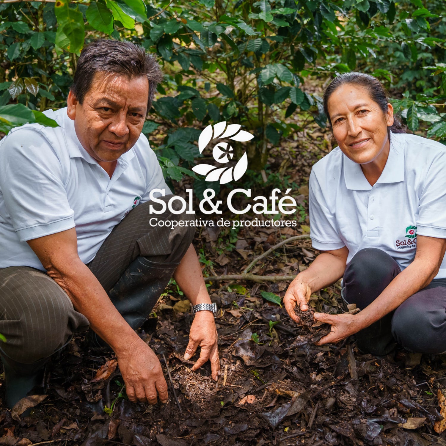 About the Beneficiary | Super Bloom | Equator Coffees