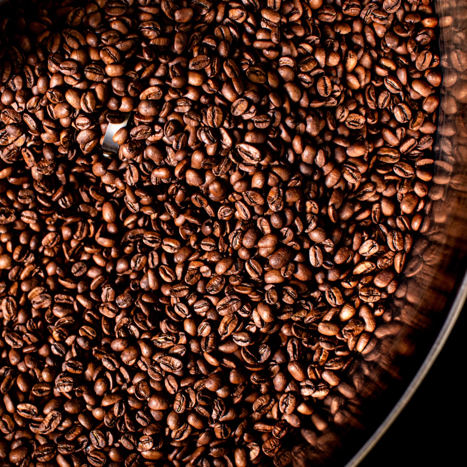 About the Coffee | Super Bloom | Equator Coffees