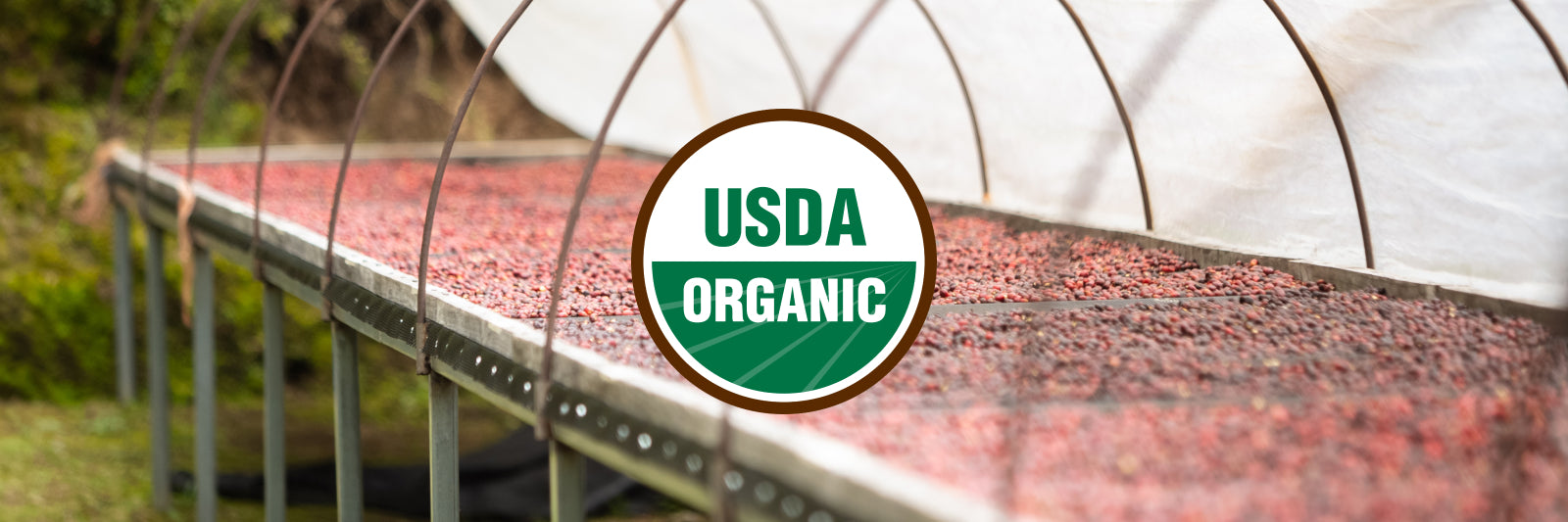 USDA Organic label over a greenhouse with organic coffee cherries | Equator Coffees
