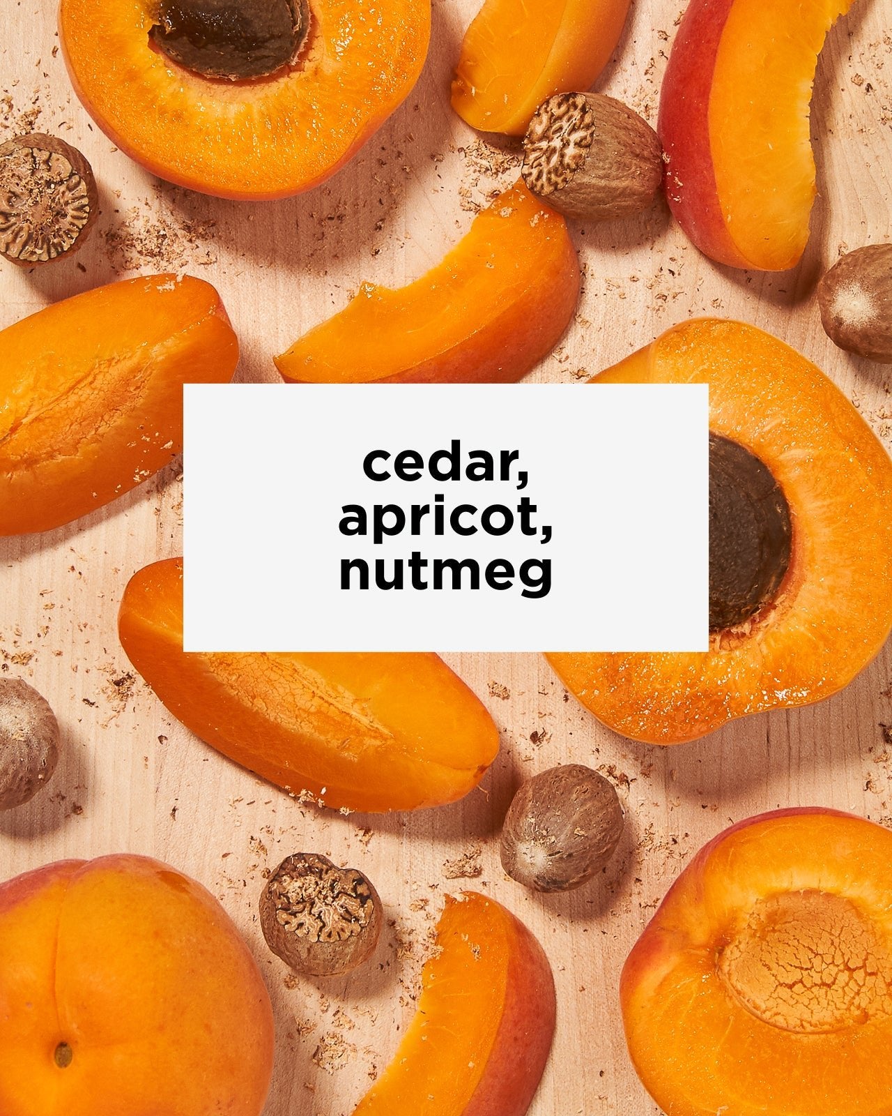 Equator Blend | Our Namesake Blend | Tastes like cedar, apricot, nutmeg | Equator Coffees